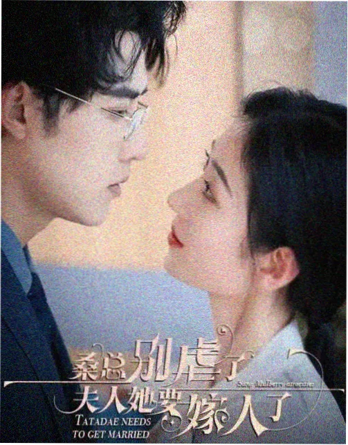 蜂鸟影院在线观看播放-电视剧 偷偷藏不住